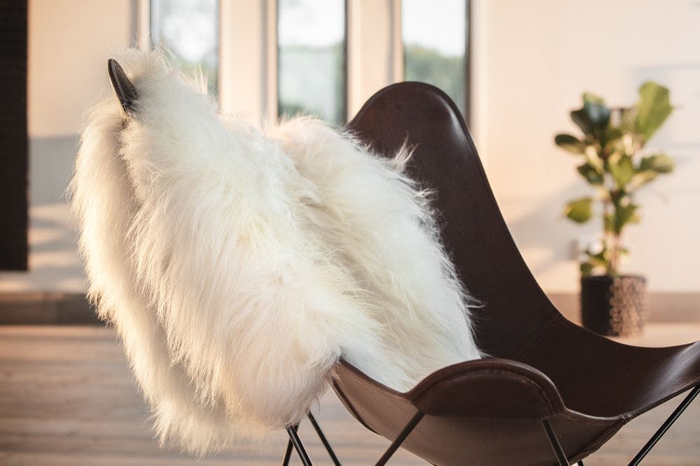 Leather Butterfly Chair