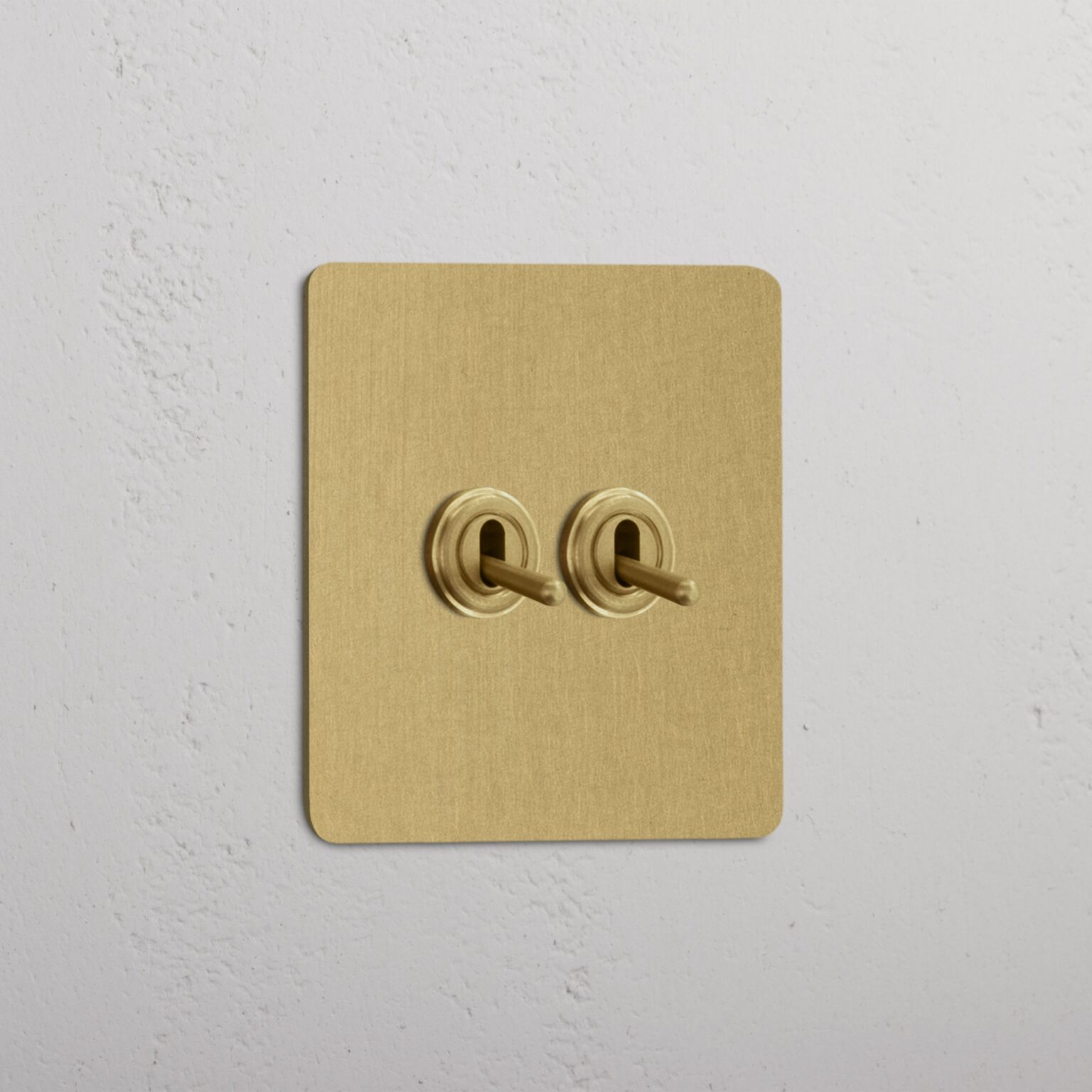 Antique brass switches