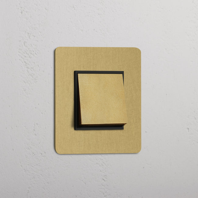 Antique brass switches